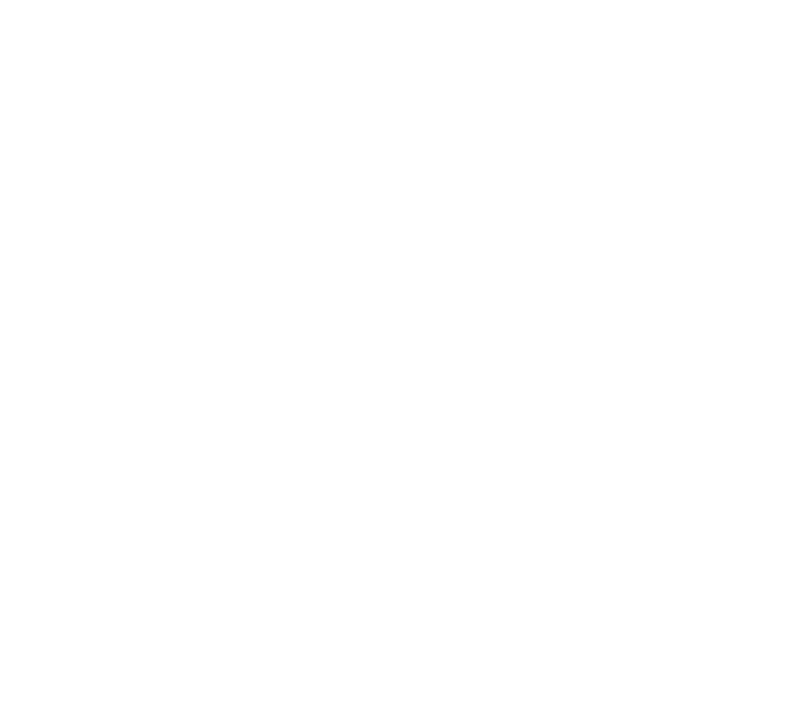 Logo Central Plafon